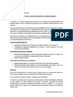 Seborrea PDF