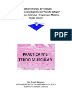 Guía Práctica, N°6, Tejido Muscular PDF