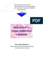 Guía Práctica, N°2, Tejido Conectivo y Adiposo, Nro. 1 PDF