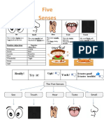 Five Senses: Really! Try It! Yuck!