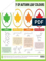 The Chemistry of Autumn Leaf Colours: Chlorophyll Carotenoids & Flavonoids Carotenoids Anthocyanins & Carotenoids