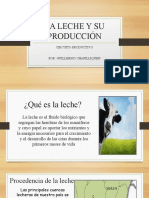 LA LECHE Y SU PRODUCCIÓN (5to Primaria)