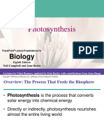 Topic 4. Photosynthesis PDF