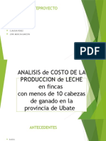 Analisis y Costo de La Produccion