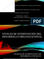 Niveles de Intervención Del Desarrollo Organizacional