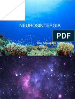 Neurosintergia PDF