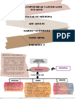 Fiebre Mentefacto y Mapa Conceptual PDF