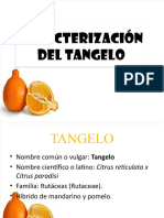 Caracterización Del Tangelo