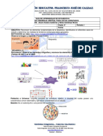 Estadistica PDF