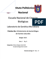 Practica 4 Fagos PDF