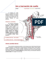 11) Vascularización e Intervación de Cuello 2018