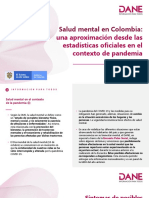 Presentacion Webinar Salud Mental en Colombia 21 10 2020 PDF