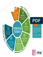 Infografia de Competencias Ciudadanas Saber Pro 2020 PDF