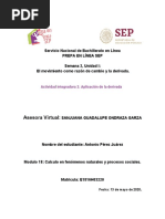 PDF Documento