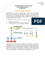 Informacion para Taller 6 - Señalizacion