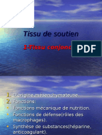 4 Tissu Conjonctif