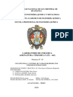 Informe 10 - Ceramica I