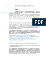 Impacto Ambiental Sobre La Flora y Fauna