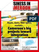 Cameroon: Roads, Dams, Fiber Optics, Markets..