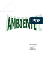 Ambiente