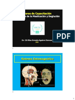 5 Masticacion y Deglucion 2020 Ciremo PDF