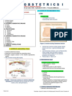 TOPIC# 1 Maternal Anatomy