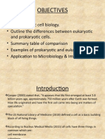 Differences Between Prokaryotic & Eukaryotic Cells Presentation