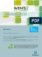 Flyer Raven2 - L