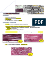 Apunte Tejido Muscular