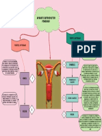 Aparato Reproductor Femenino PDF