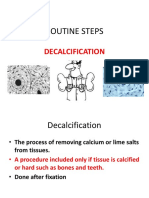 Routine Steps: Decalcification