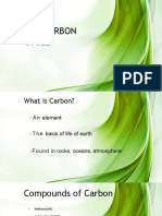 Carbon Cycle