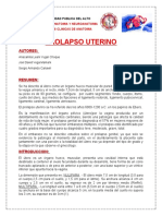 Informe Prolapso Uterino