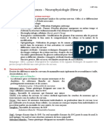 Physiopathologie Neuroscience