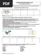 Taller. Las Herramientas PDF