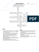 Renal and Urinary System Crossword Answers GR 4