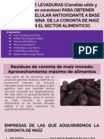 Biotecnología. Práctica I PDF