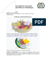 Componentes Endomembranosos