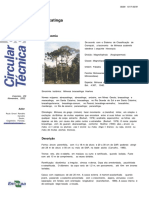 CT0059 Bracatinga PDF