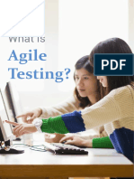 Agile Testing e Book