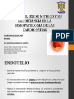 Endotelio, Oxido Nitrico y Su Importancia en