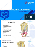 Clase Anatomia Abdomen - Presentación