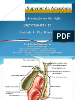 Aula 4 Vias Biliares