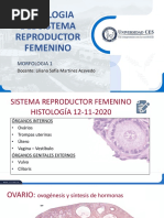 Sistema Reproductivo Femenino - Histologia