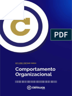 Comportamento Organizacional