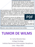 Tumor de Wilms