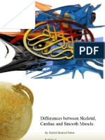 Differences Between Skeletal, Smooth and Cardiac Muscle