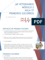 Aula 37 38 e 39 Primeiros Socorros