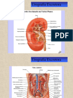 Urografia Excretora