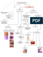 Mapa Conceptual Sistema Inmune.